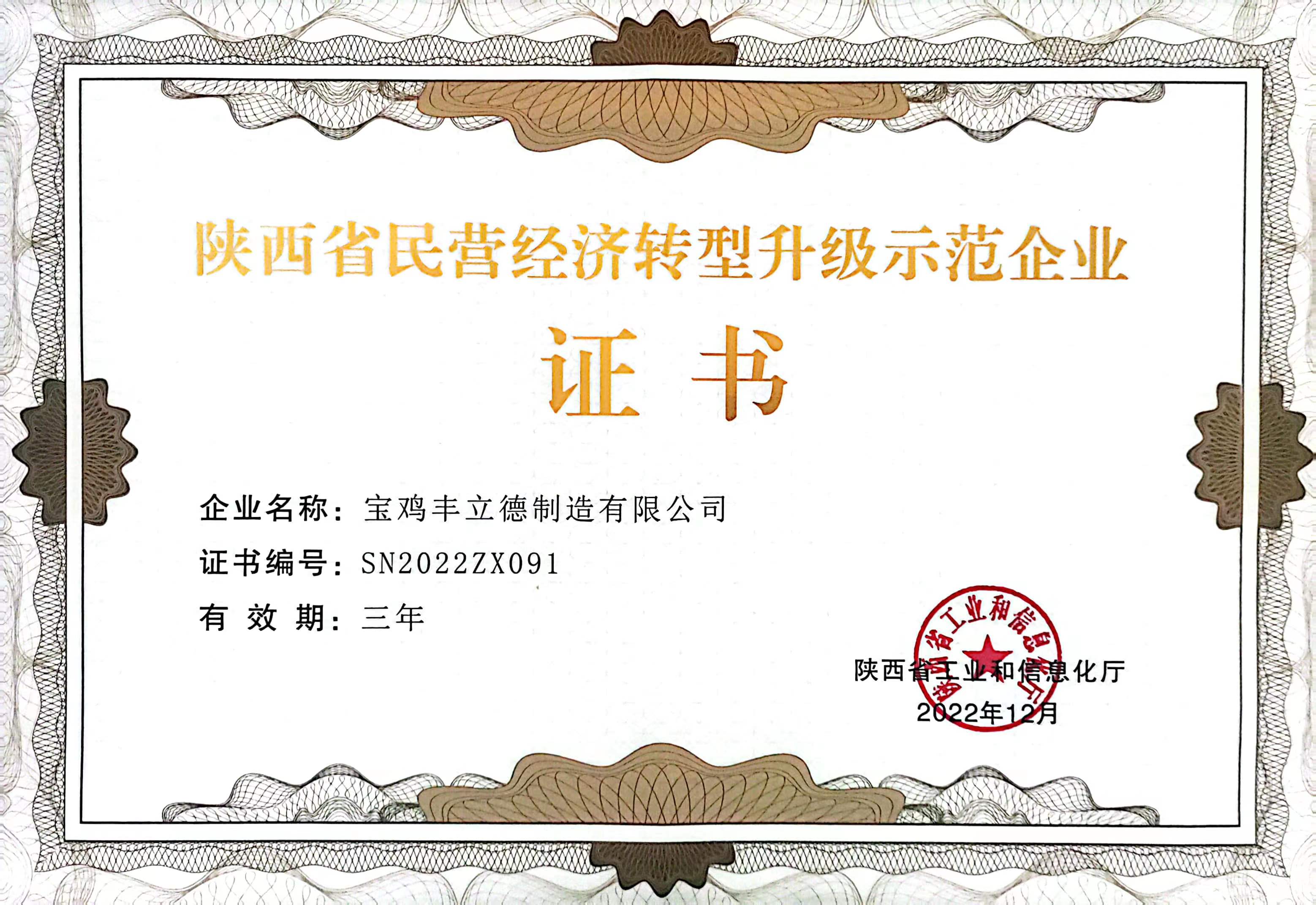 陕西省民营经济转型升级示范企业证书